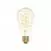 LED Glühbirne Golden Carbon Line Spiral-Filament Edison ST64 4W 250Lm E27 1800K Dimmbar - C04