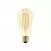 LED Glühbirne Golden Carbon Line Cage Filament Edison ST64 7W 640Lm E27 2700K Dimmbar - C54